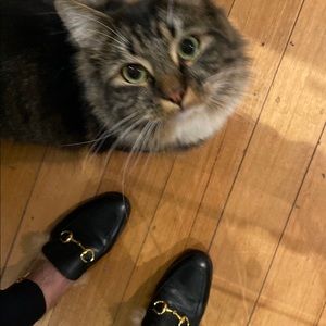 Meet your Posher, Wendy